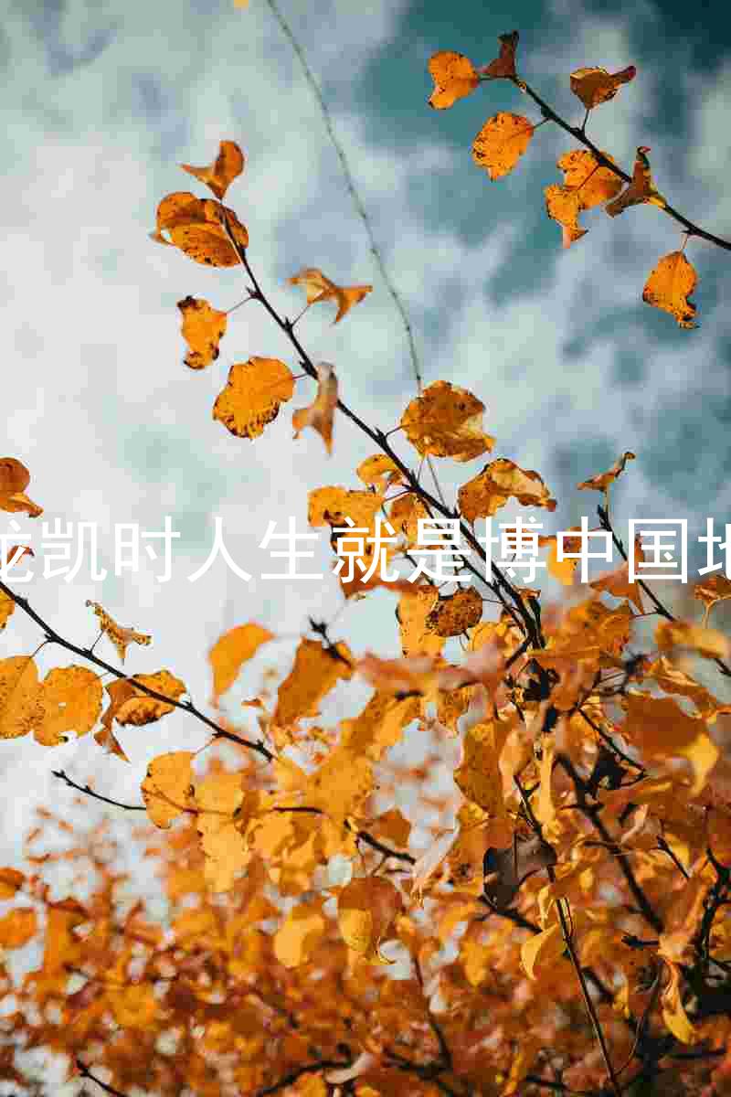 尊龙凯时人生就是博中国地区
