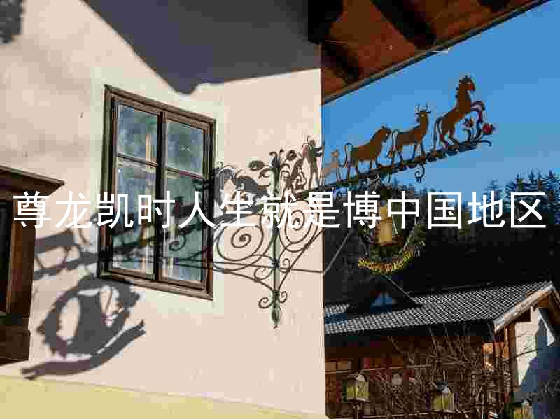 尊龙凯时人生就是博中国地区