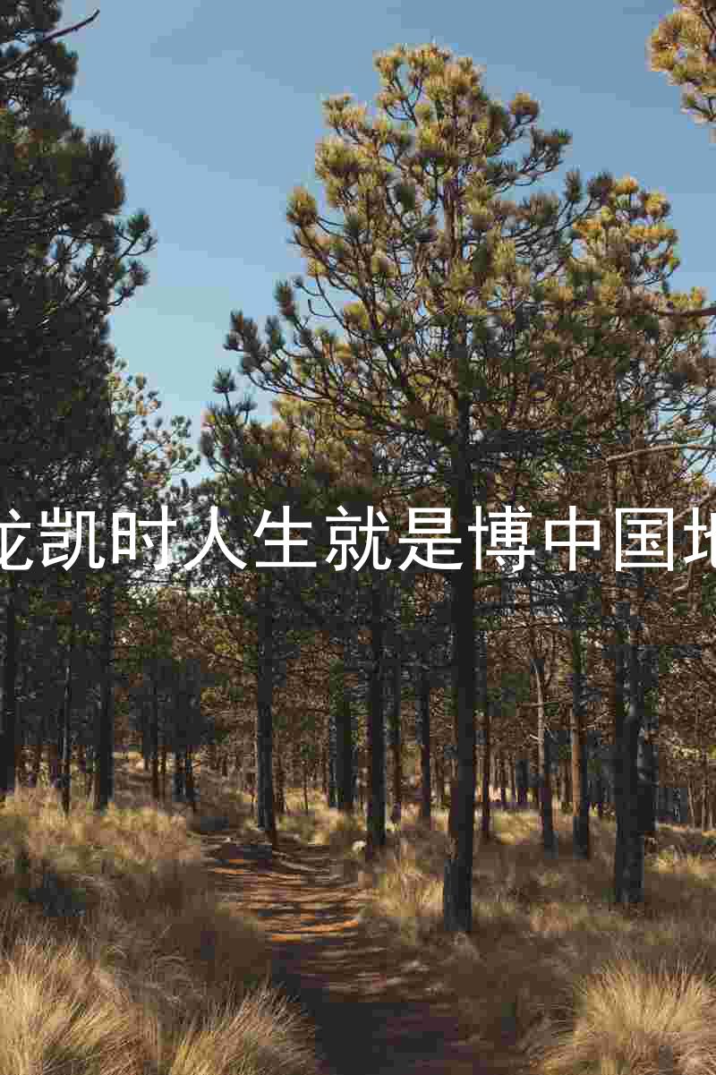 尊龙凯时人生就是博中国地区