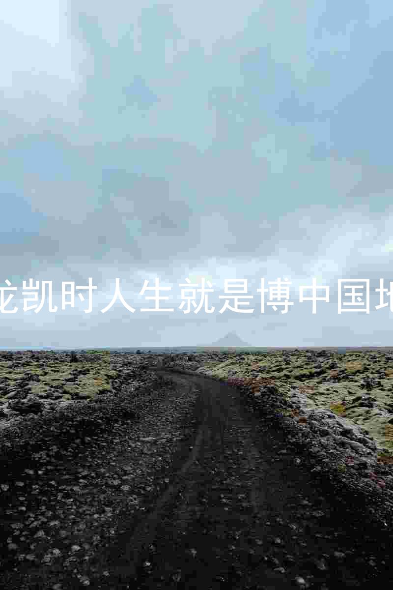 尊龙凯时人生就是博中国地区