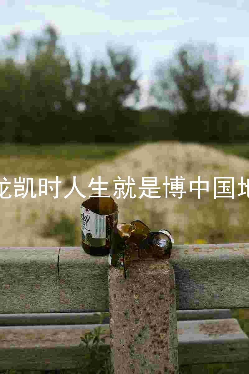 尊龙凯时人生就是博中国地区